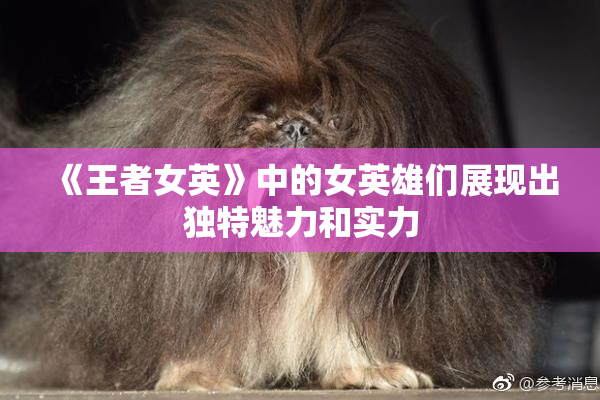 《王者女英》中的女英雄们展现出独特魅力和实力