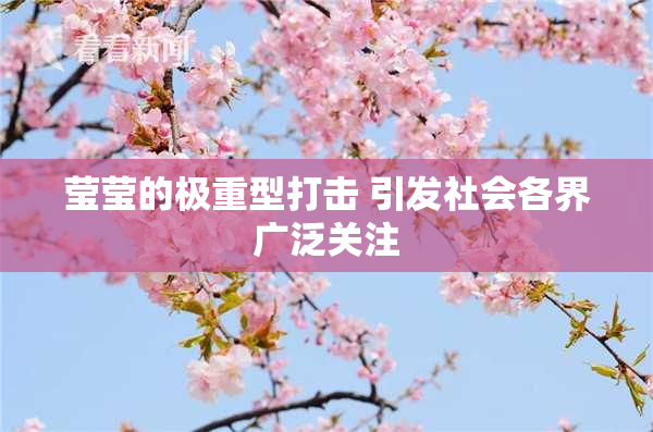 莹莹的极重型打击 引发社会各界广泛关注