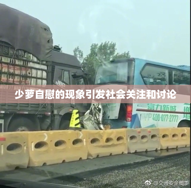 少萝自慰的现象引发社会关注和讨论