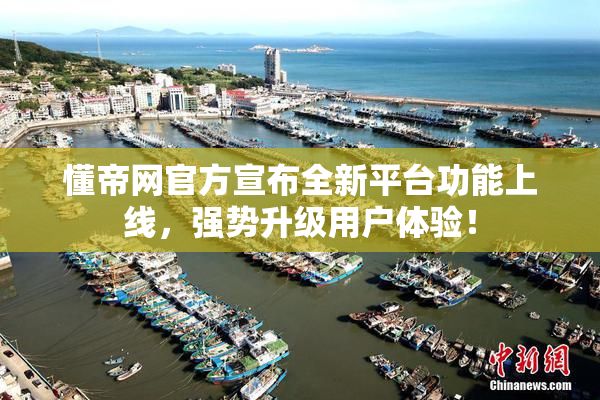 懂帝网官方宣布全新平台功能上线，强势升级用户体验！
