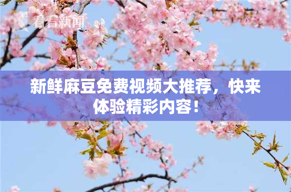 新鲜麻豆免费视频大推荐，快来体验精彩内容！