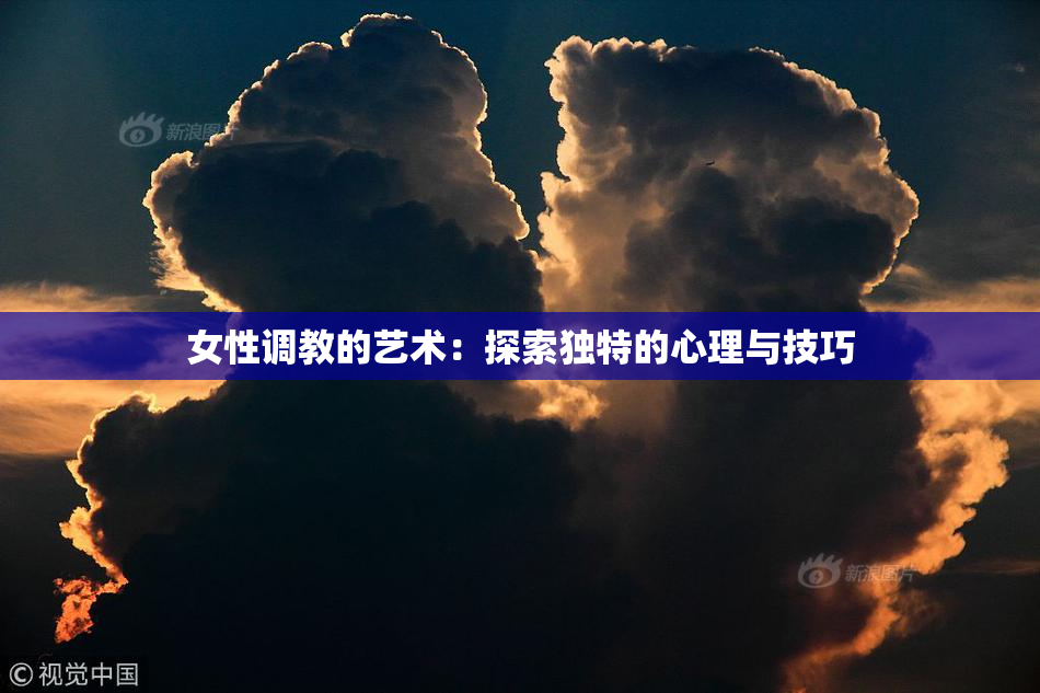 女性调教的艺术：探索独特的心理与技巧