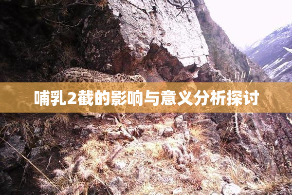 哺乳2截的影响与意义分析探讨