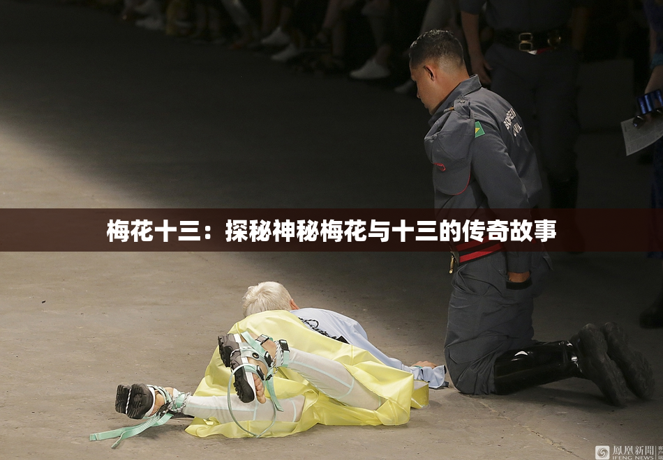 梅花十三：探秘神秘梅花与十三的传奇故事