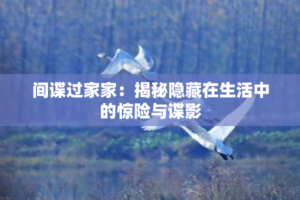 间谍过家家：揭秘隐藏在生活中的惊险与谍影