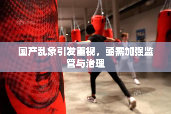 国产乱象引发重视，亟需加强监管与治理