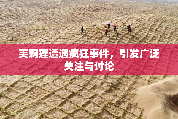 芙莉莲遭遇疯狂事件，引发广泛关注与讨论