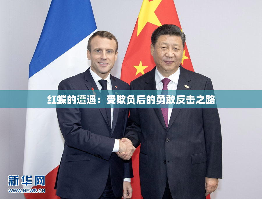 红蝶的遭遇：受欺负后的勇敢反击之路