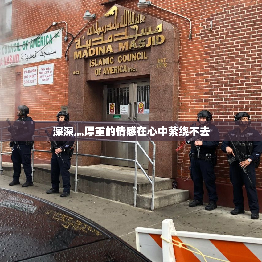 深深灬厚重的情感在心中萦绕不去