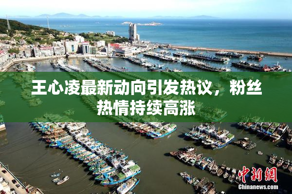 王心凌最新动向引发热议，粉丝热情持续高涨