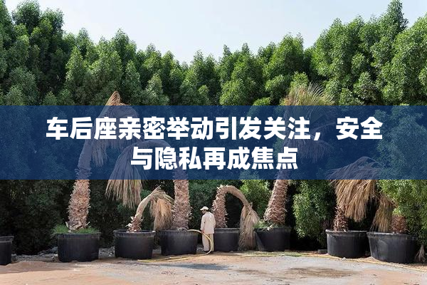 车后座亲密举动引发关注，安全与隐私再成焦点