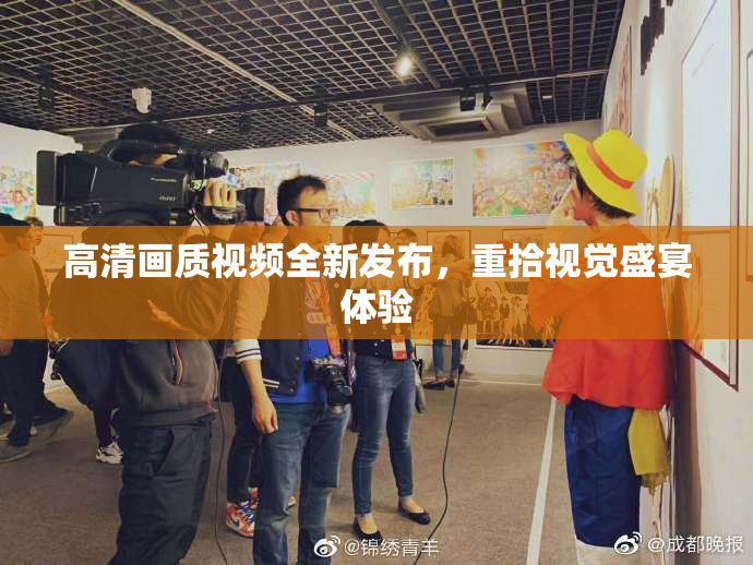 高清画质视频全新发布，重拾视觉盛宴体验