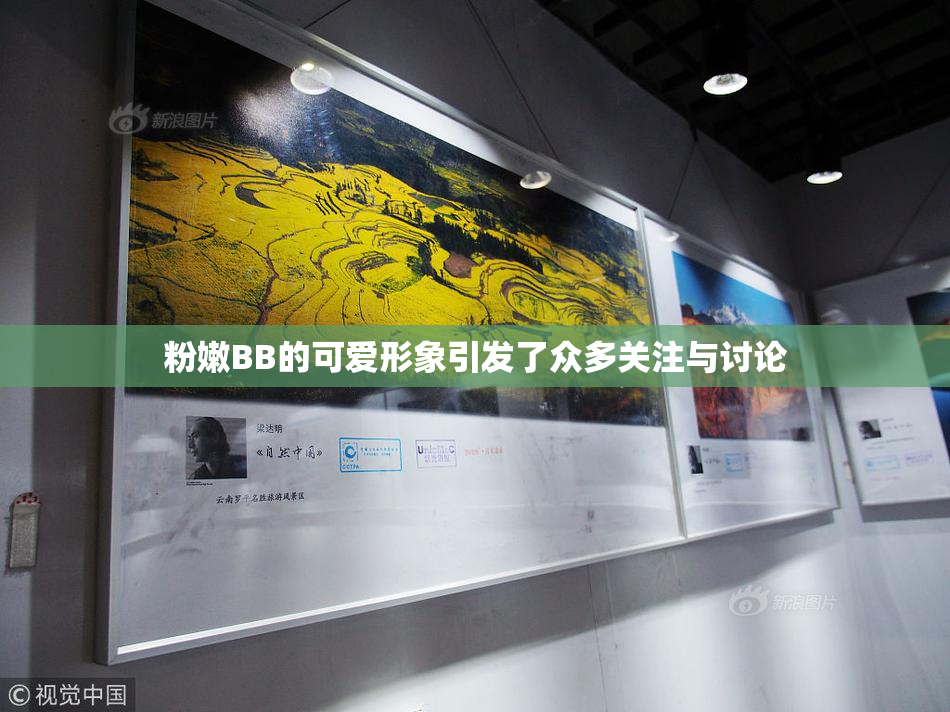 粉嫩BB的可爱形象引发了众多关注与讨论