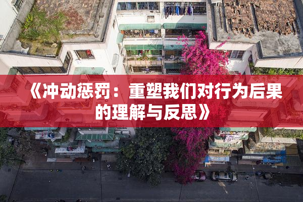 《冲动惩罚：重塑我们对行为后果的理解与反思》