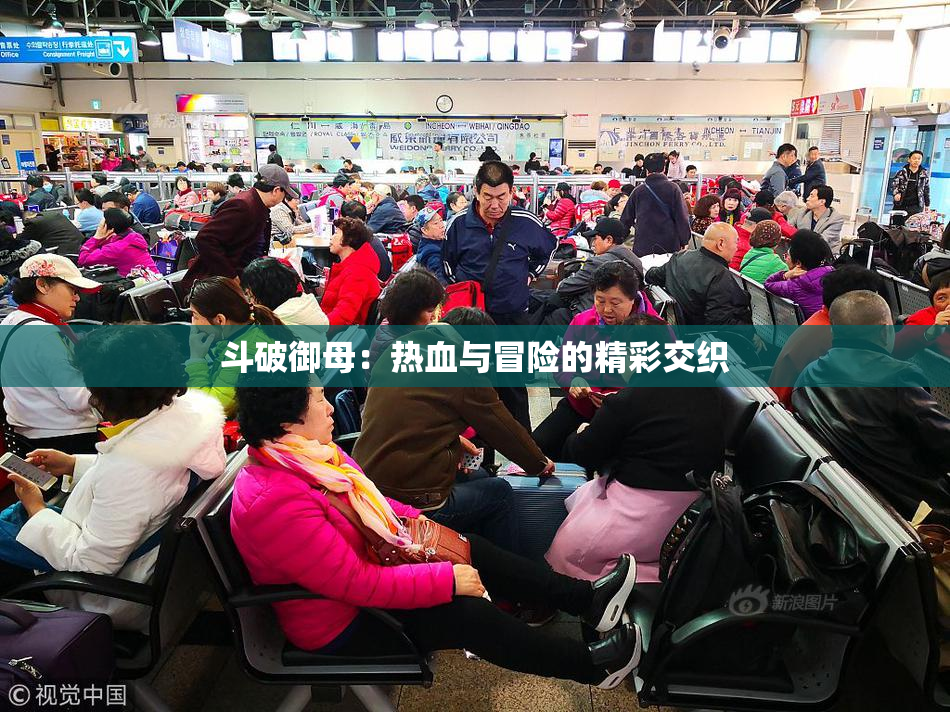 斗破御母：热血与冒险的精彩交织