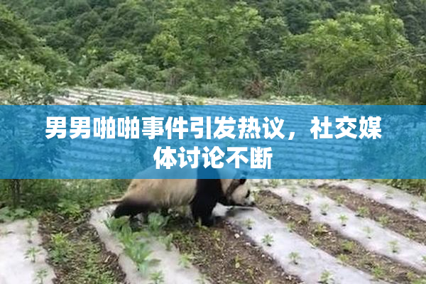 男男啪啪事件引发热议，社交媒体讨论不断