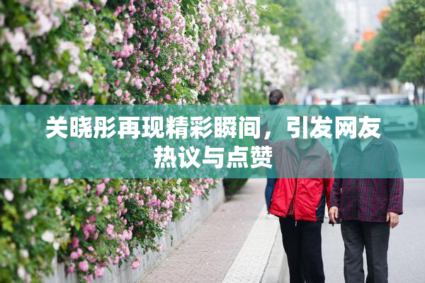 关晓彤再现精彩瞬间，引发网友热议与点赞