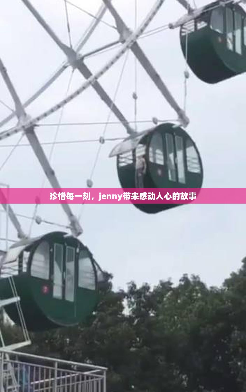 珍惜每一刻，jenny带来感动人心的故事
