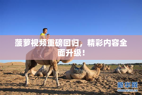 菠萝视频重磅回归，精彩内容全面升级！