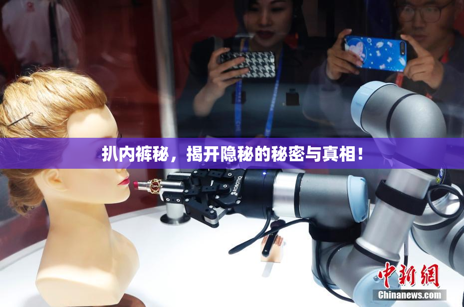 扒内裤秘，揭开隐秘的秘密与真相！