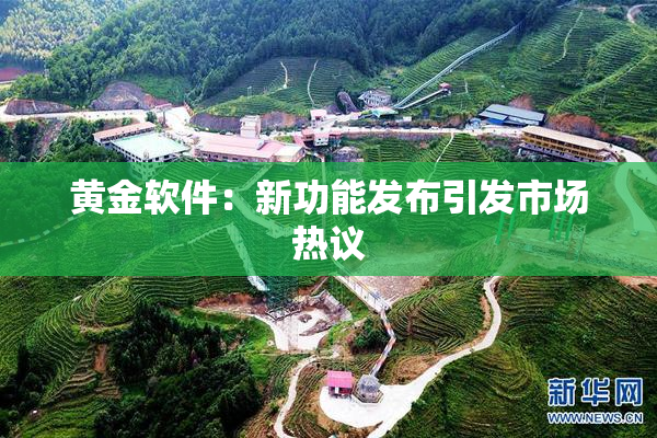 黄金软件：新功能发布引发市场热议
