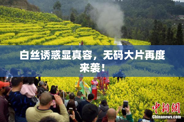 白丝诱惑显真容，无码大片再度来袭！