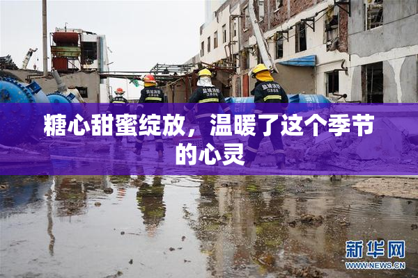 糖心甜蜜绽放，温暖了这个季节的心灵