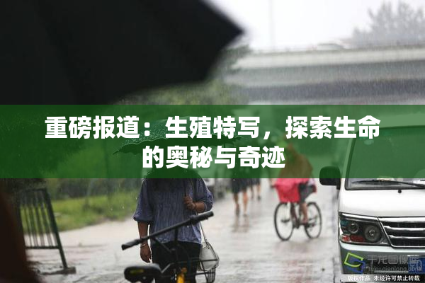 重磅报道：生殖特写，探索生命的奥秘与奇迹