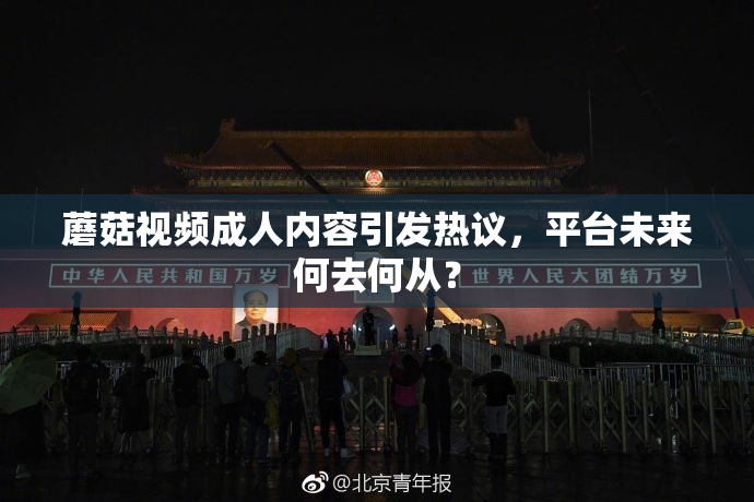 蘑菇视频成人内容引发热议，平台未来何去何从？