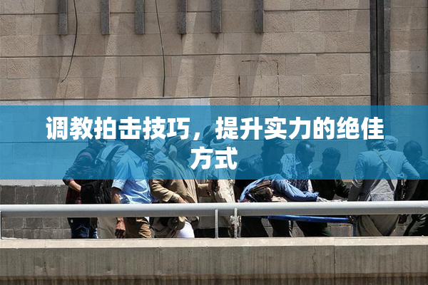 调教拍击技巧，提升实力的绝佳方式