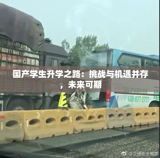 国产学生升学之路：挑战与机遇并存，未来可期