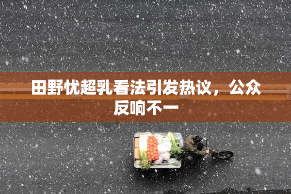 田野忧超乳看法引发热议，公众反响不一