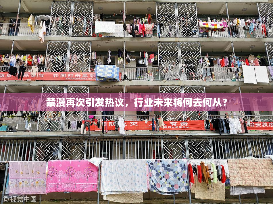 禁漫再次引发热议，行业未来将何去何从？