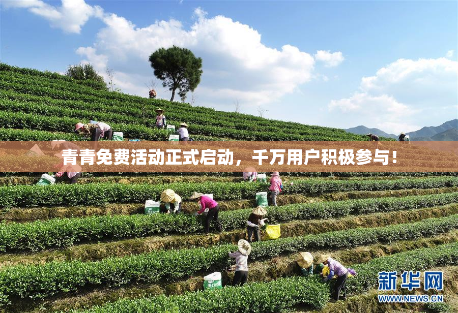 青青免费活动正式启动，千万用户积极参与！
