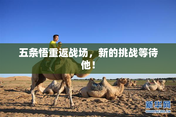 五条悟重返战场，新的挑战等待他！