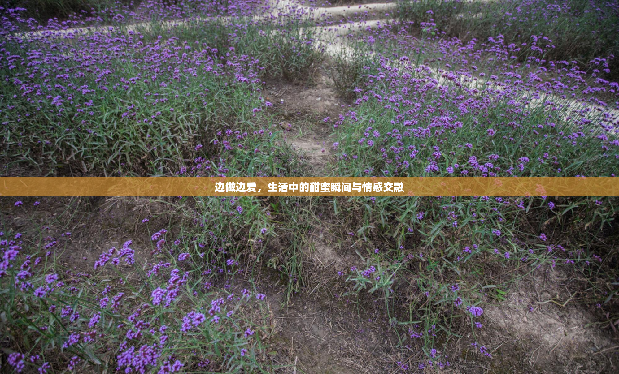 边做边爱，生活中的甜蜜瞬间与情感交融