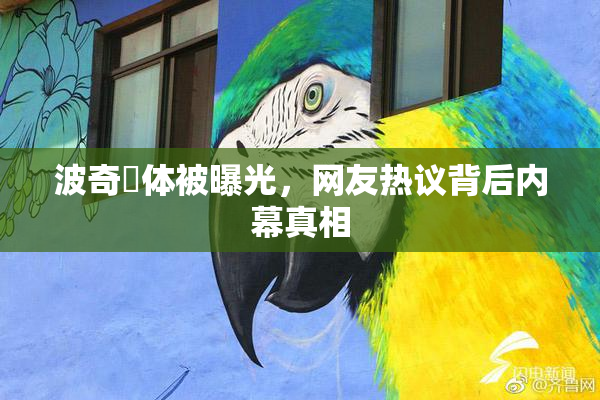 波奇祼体被曝光，网友热议背后内幕真相