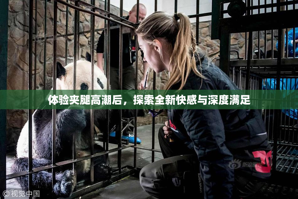 体验夹腿高潮后，探索全新快感与深度满足