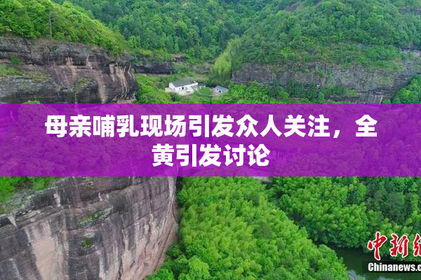 母亲哺乳现场引发众人关注，全黄引发讨论