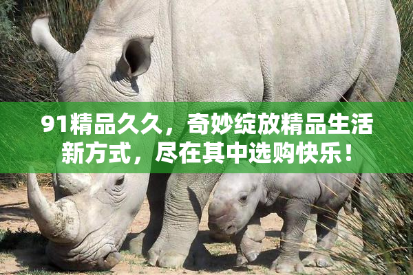 91精品久久，奇妙绽放精品生活新方式，尽在其中选购快乐！