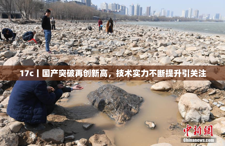 17c丨国产突破再创新高，技术实力不断提升引关注