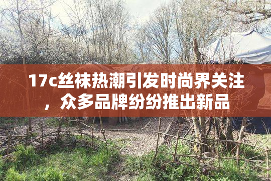 17c丝袜热潮引发时尚界关注，众多品牌纷纷推出新品
