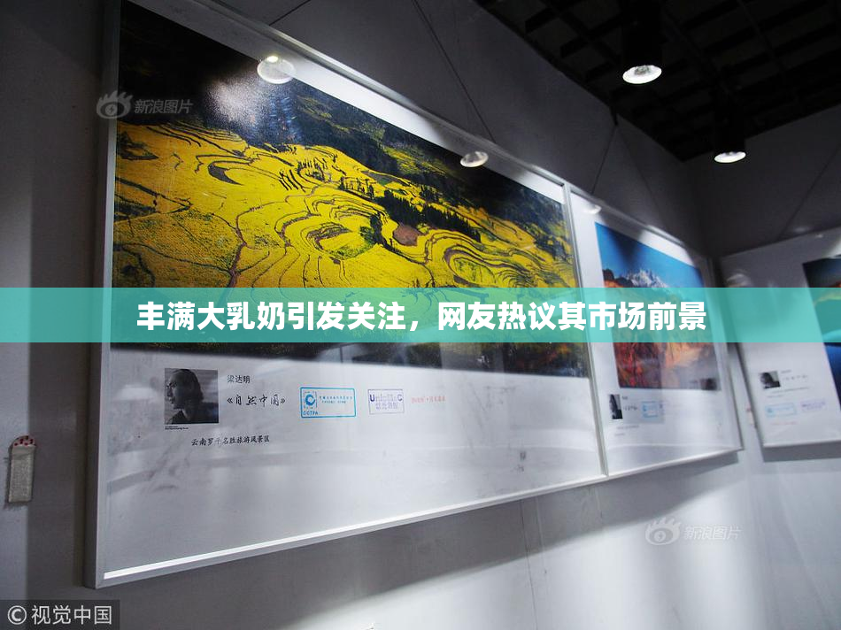 丰满大乳奶引发关注，网友热议其市场前景