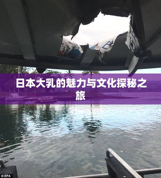 日本大乳的魅力与文化探秘之旅