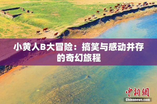 小黄人B大冒险：搞笑与感动并存的奇幻旅程