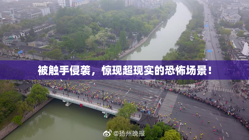被触手侵袭，惊现超现实的恐怖场景！