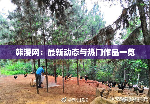 韩漫网：最新动态与热门作品一览