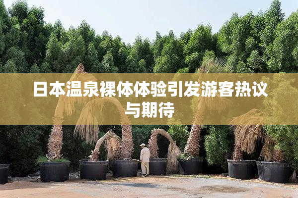 日本温泉裸体体验引发游客热议与期待