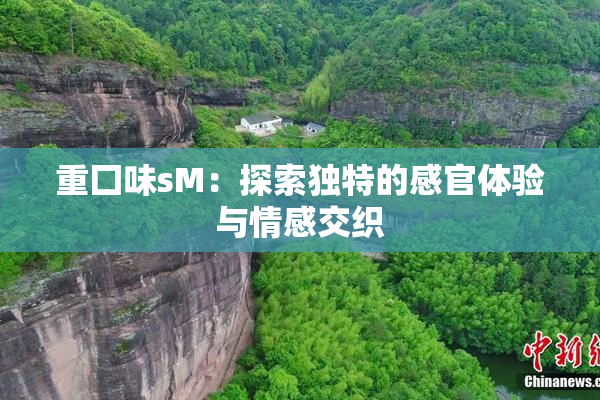 重囗味sM：探索独特的感官体验与情感交织
