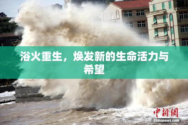 浴火重生，焕发新的生命活力与希望